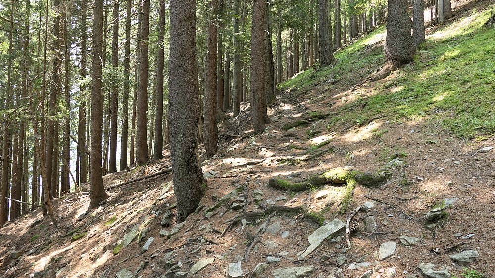 Alpe Adria Trail