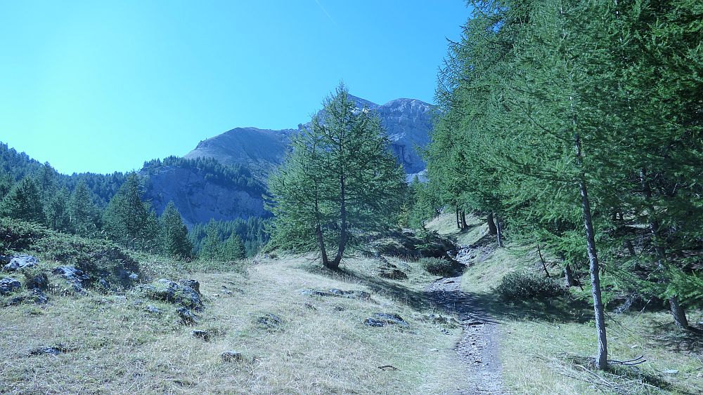 Col de Neal