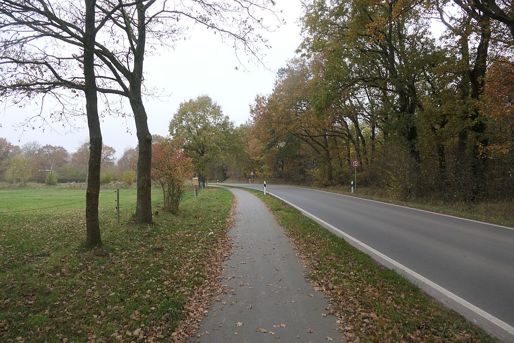 E1 Dnische Grenze bis Hamburg