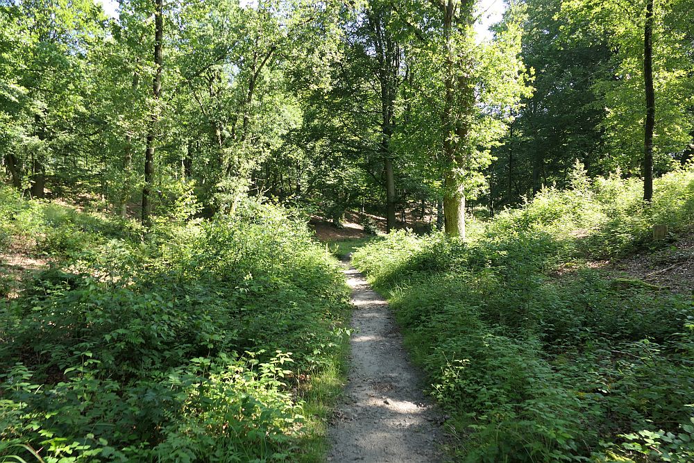 E1 Hamburg bis Steinhude