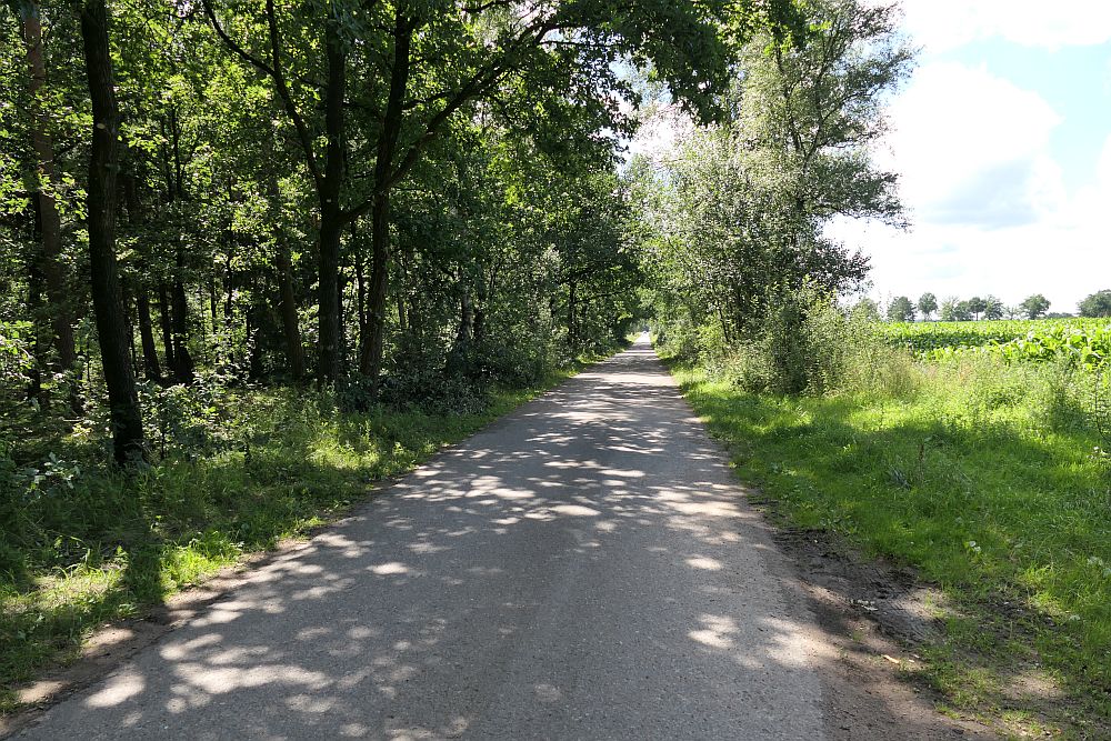E1 Hamburg bis Steinhude