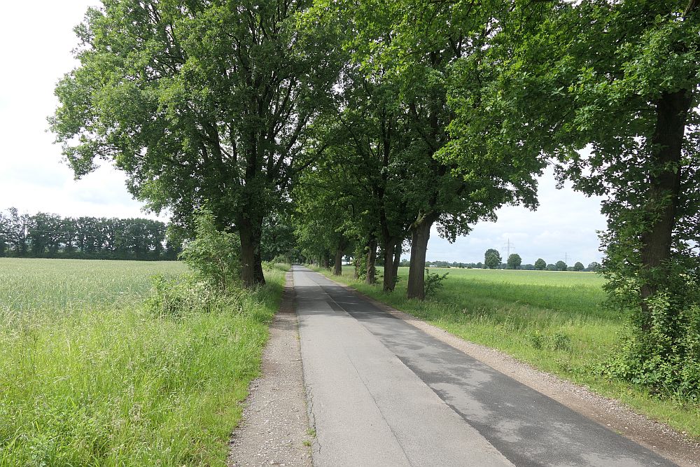 E1 Hamburg bis Steinhude
