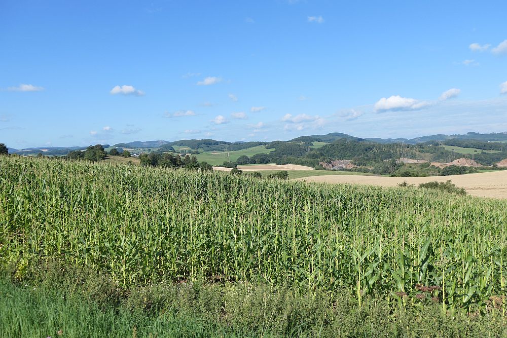 E1 Marsberg bis Schweinsbühl 