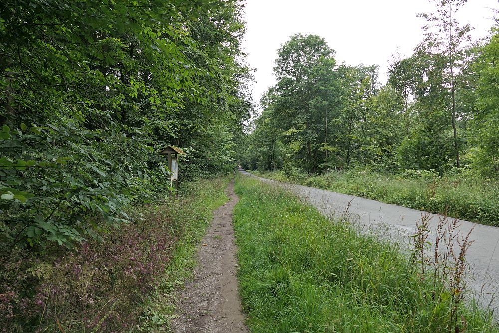 E1 Steinhude bis Marsberg HSK