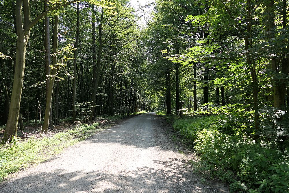 E1 Steinhude bis Marsberg HSK