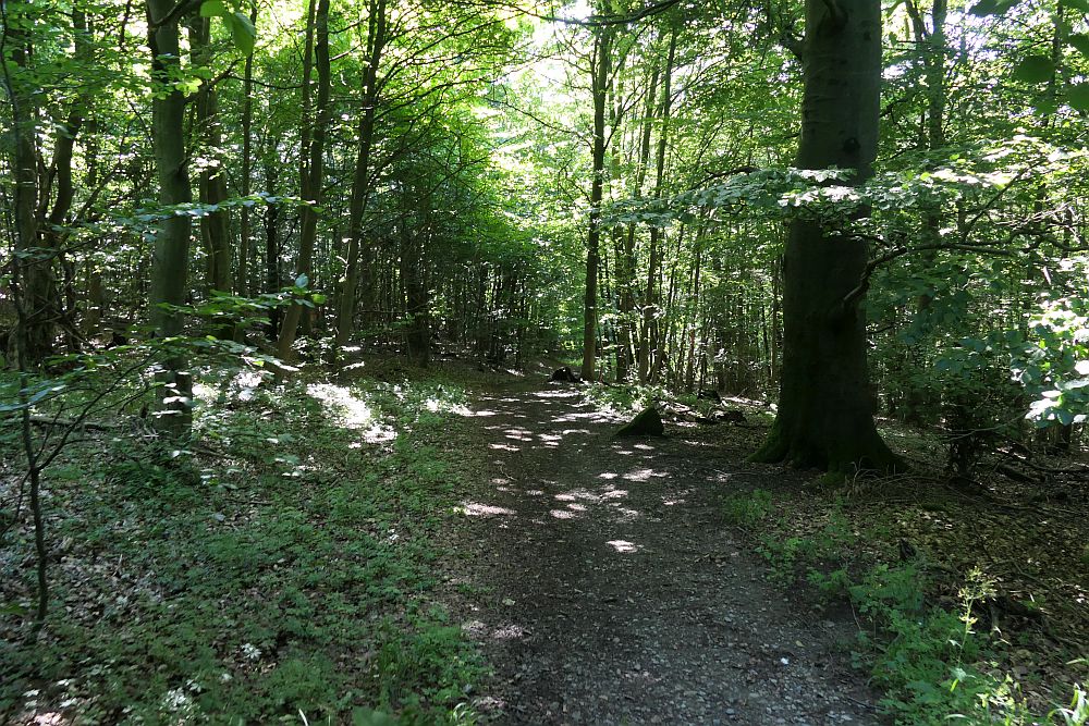 E1 Steinhude bis Marsberg HSK