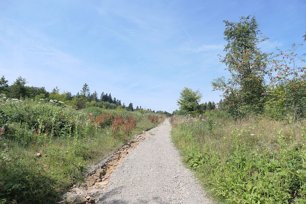 E1 Steinhude bis Marsberg HSK