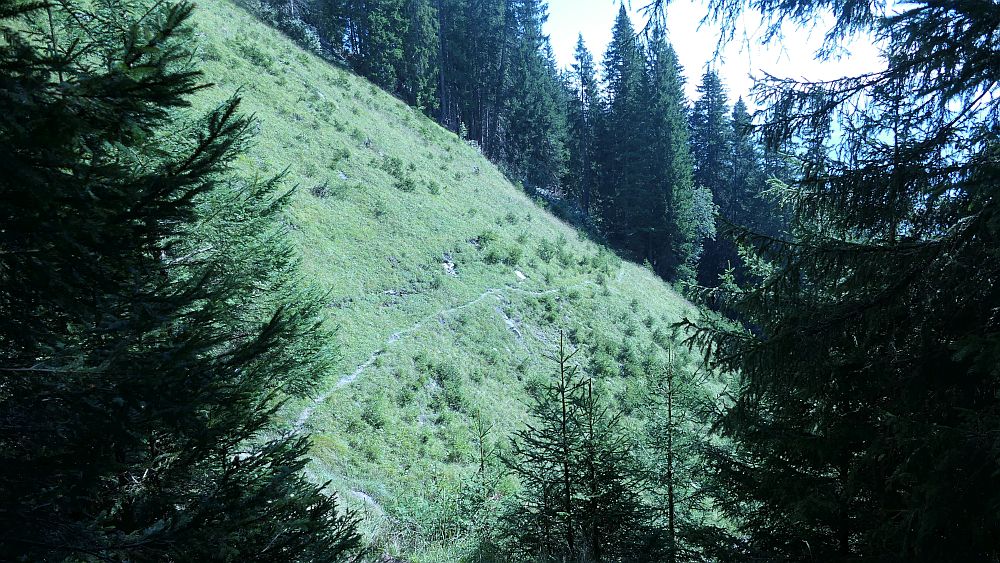 Fanas Rundwanderweg
