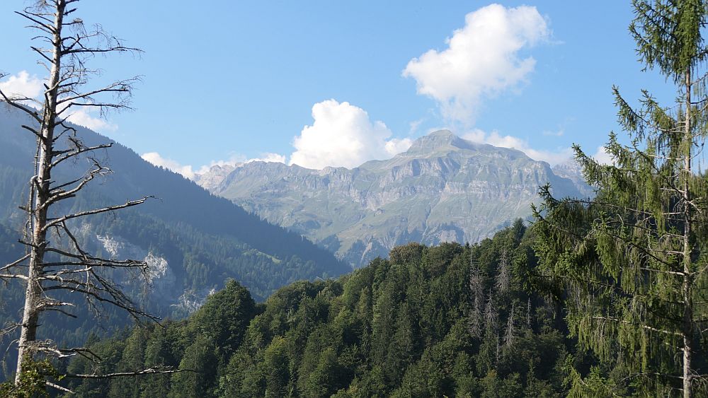 Fanas Rundwanderweg
