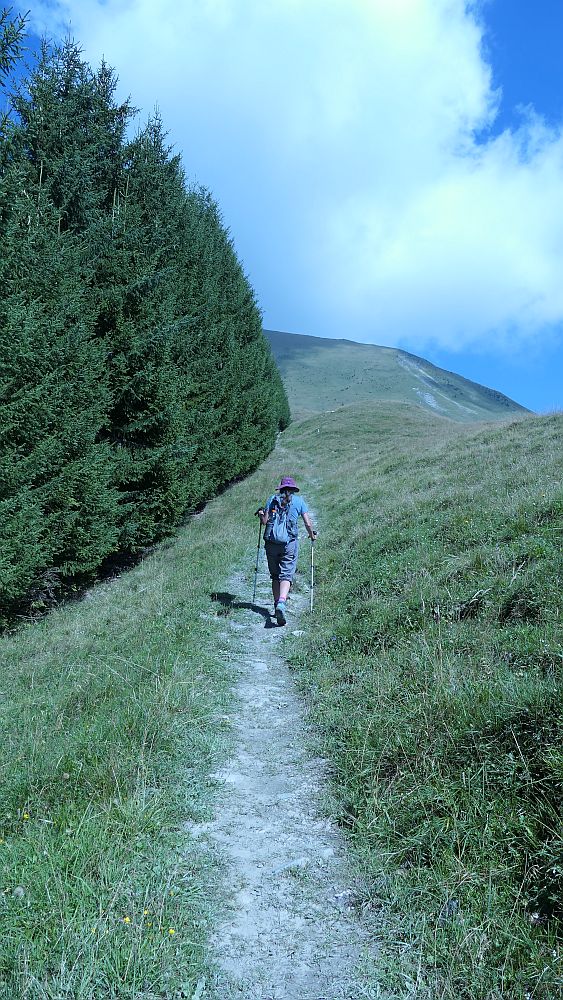 Fanas Rundwanderweg