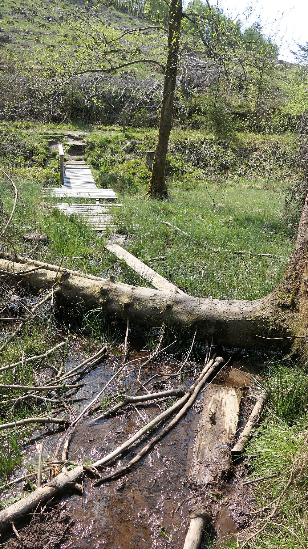 Lahnwanderweg