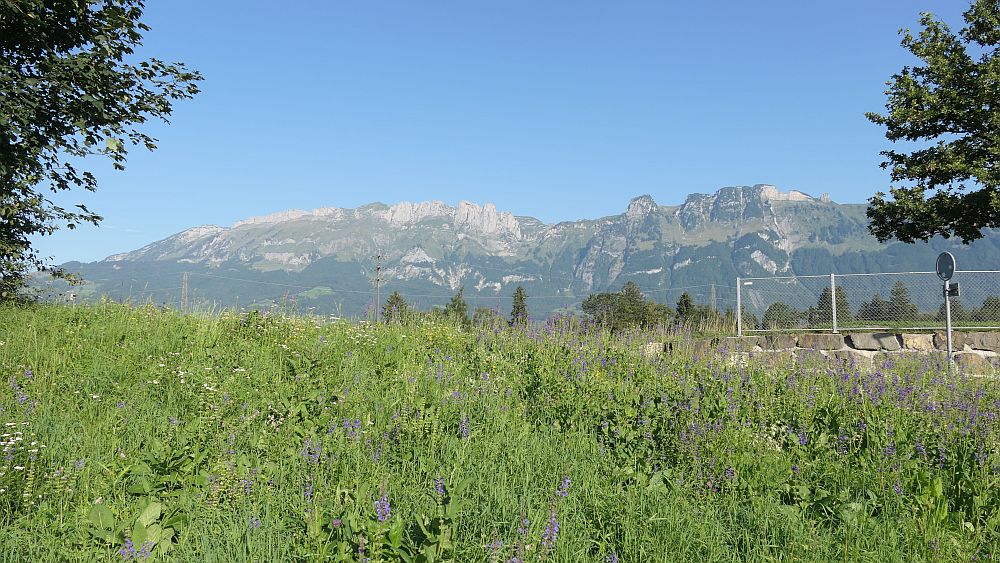 Liechtensteinweg