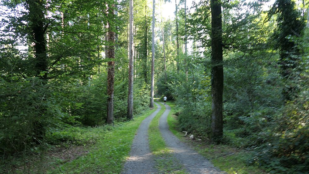 Liechtensteinweg