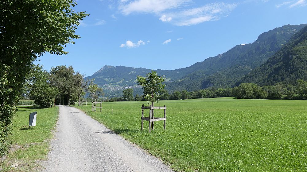 Liechtensteinweg