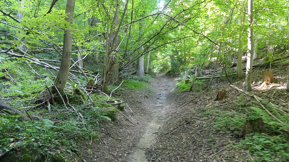Liechtensteinweg