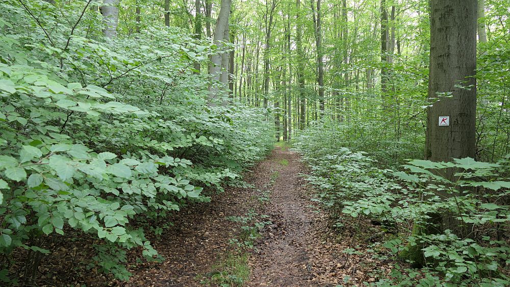 Keltenpfad