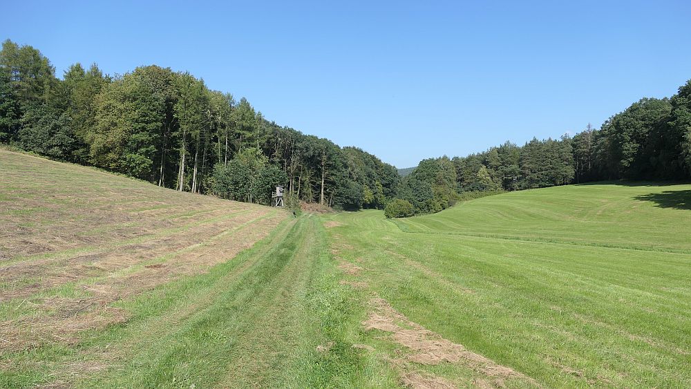 Mühlentour