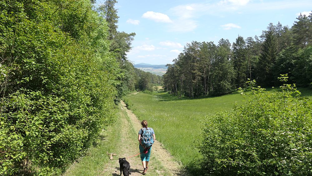 Der Rasdorfer