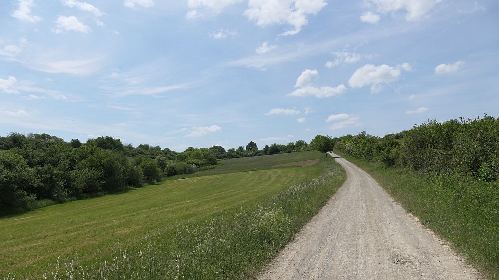 Der Rasdorfer