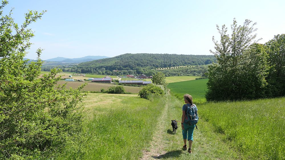 Der Rasdorfer