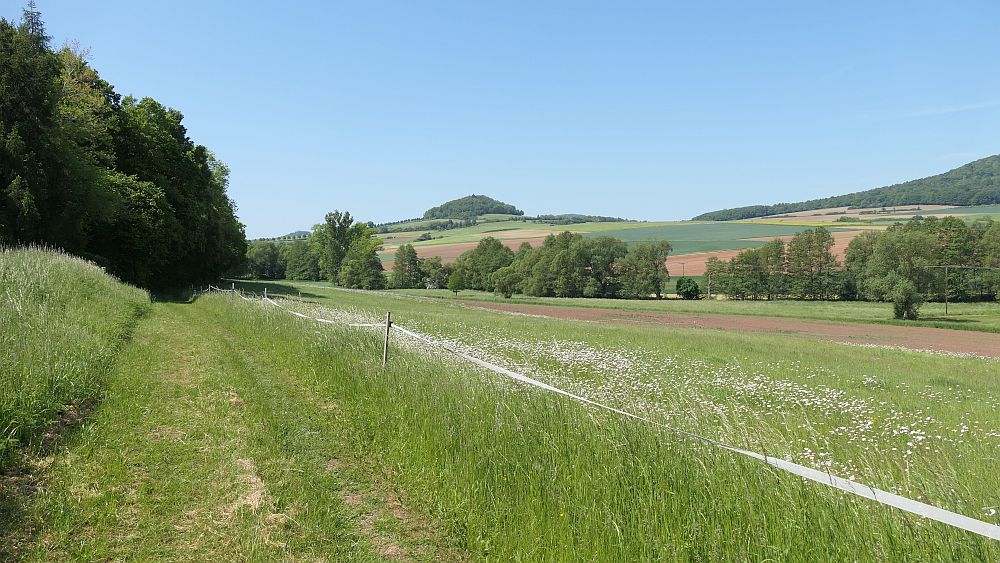 Der Rasdorfer