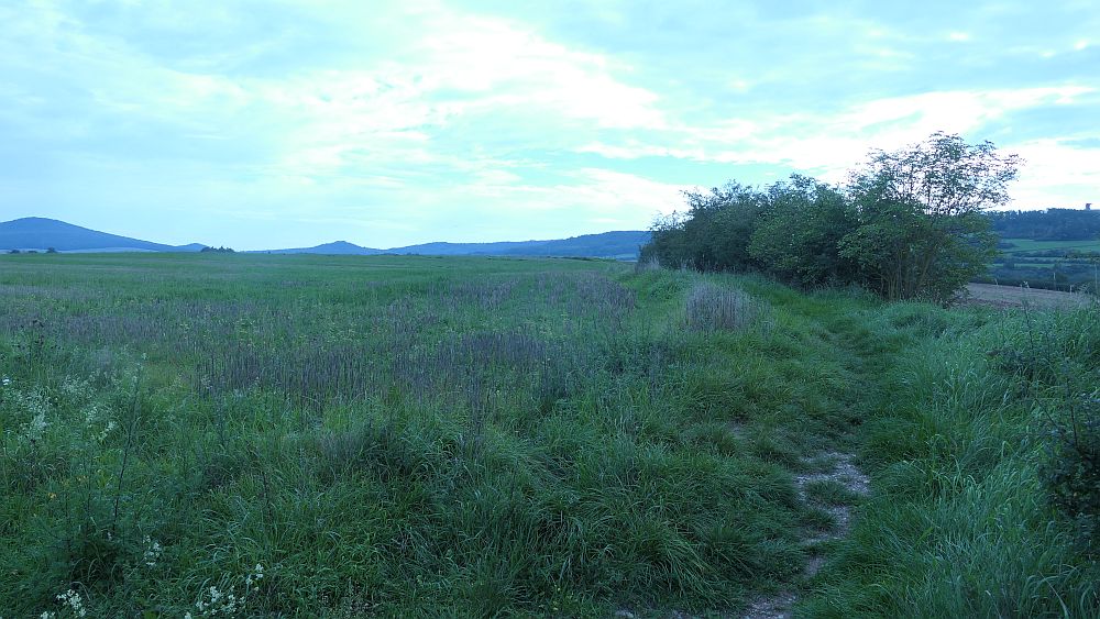 Weinberg