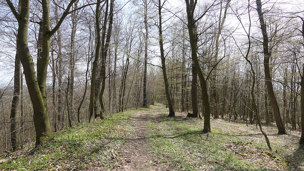 Selterklippen