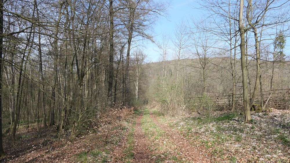 Selterklippen