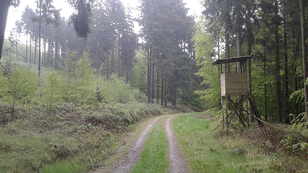 Soonwaldsteig