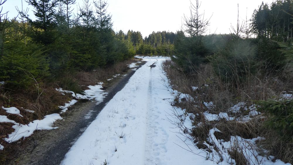 Großes Sonnenstück
