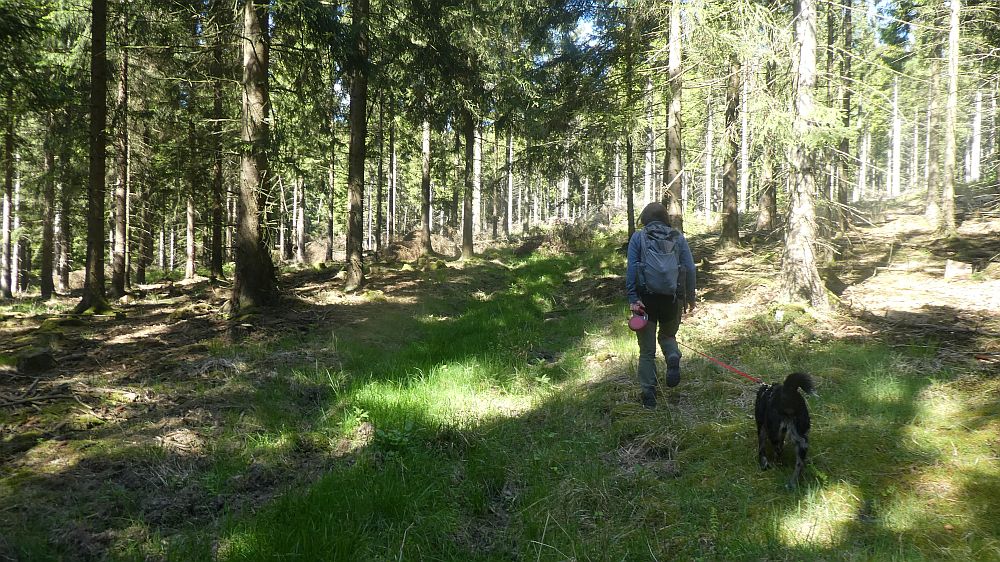 Sauerland Waldroute