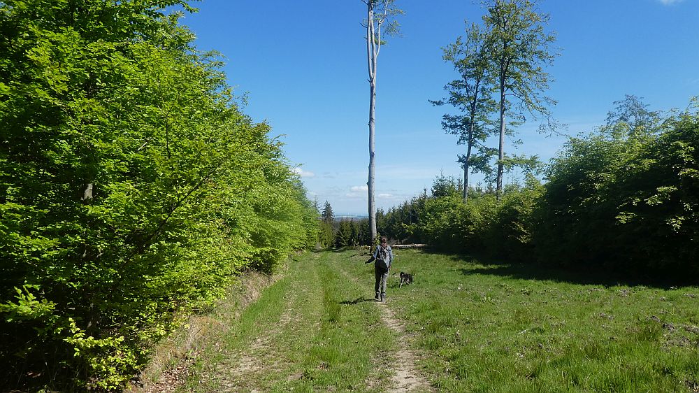 Sauerland Waldroute