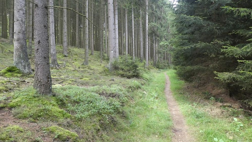 Sauerländer Waldroute