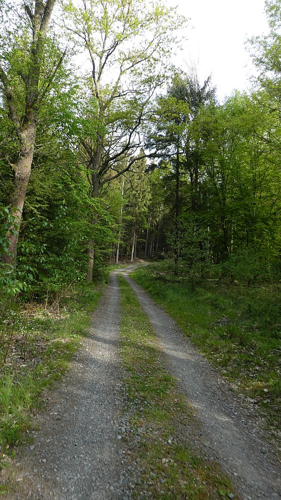 Sauerland Waldroute