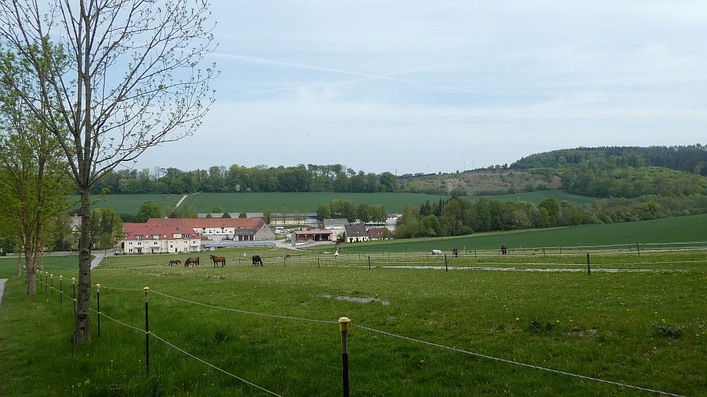 Sauerland Waldroute