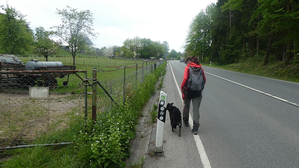 Sauerland Waldroute